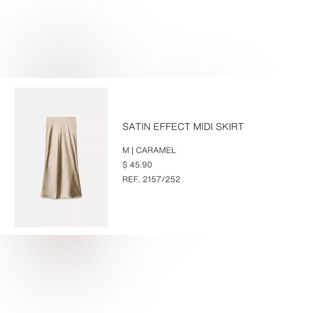 Zara Silk Skirt - Picture 2 of 7